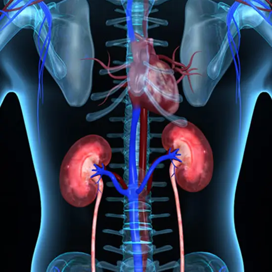 acute kidney injury panel test